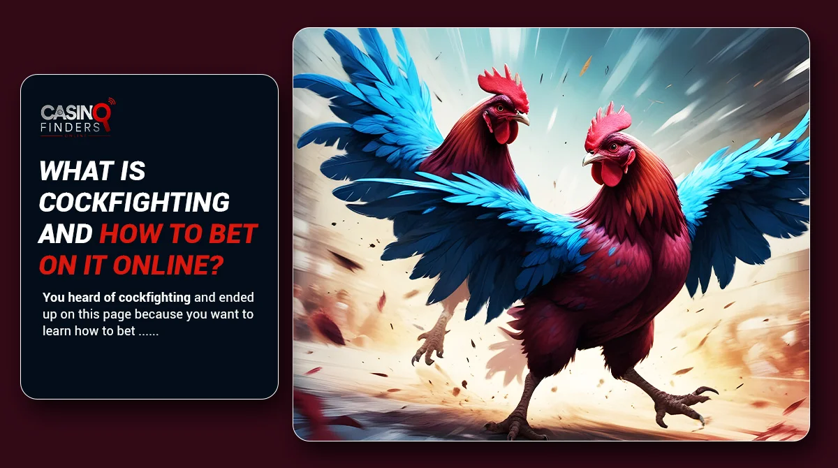 Simple Guide To Cockfight Betting