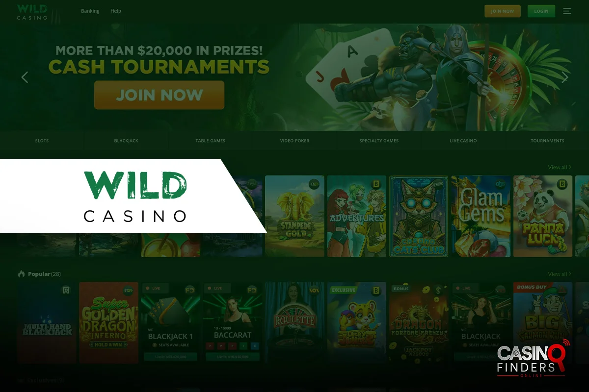 Wild Casino